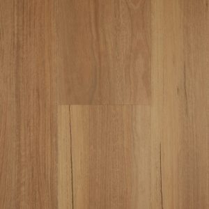 Classic Spotted Gum