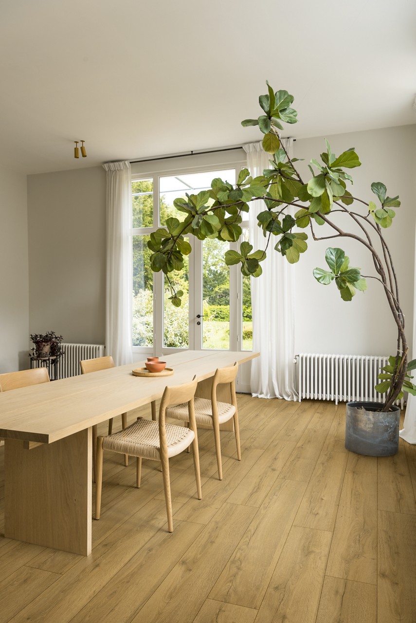 Honey brown oak